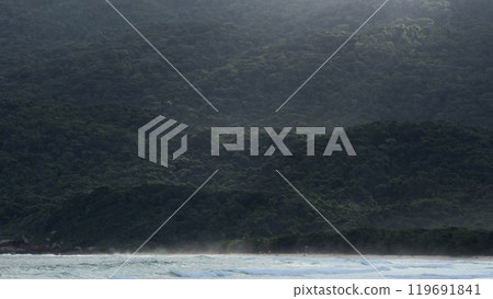 Stunning tropical beach with lush jungle meeting the sea Stunning tropical beach with lush jungle meeting the sea 119691841