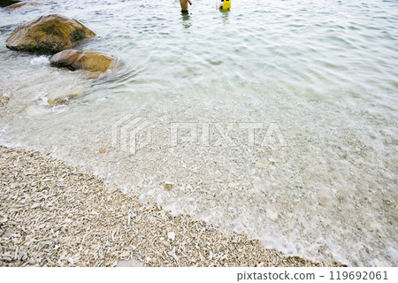 Coral beach Coral beach 119692061