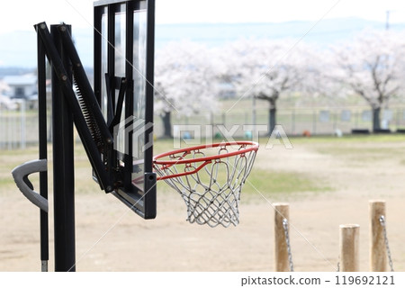 Landscape with basketball goal 119692121