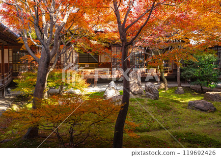 Autumn in Higashiyama, Kyoto, Kenninji Temple, Shion Garden covered in autumn leaves Autumn in Higashiyama, Kyoto, Kenninji Temple, Shion Garden covered in autumn leaves 119692426