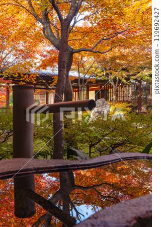 Autumn in Higashiyama, Kyoto: The autumn leaves of the Shion Garden at Kenninji Temple are reflected in the water basin 119692427