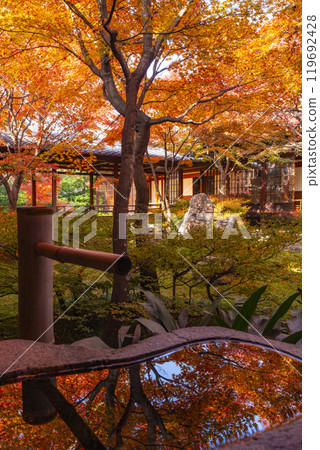 京都東山的秋天：建仁寺紫苑庭園的秋葉倒映在水盆裡 119692428