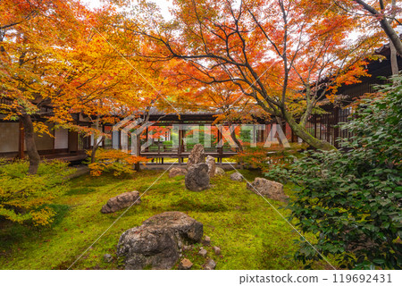 Autumn in Higashiyama, Kyoto, Kenninji Temple, Shion Garden covered in autumn leaves 119692431