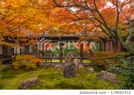 Autumn in Higashiyama, Kyoto, Kenninji Temple, Shion Garden covered in autumn leaves 119692432