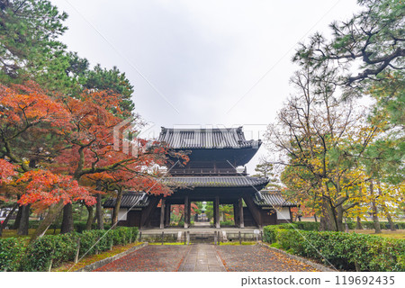 京都東山的秋天，建仁寺，山門（瞭望塔）被秋葉覆蓋 119692435