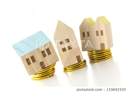 Housing loan Housing loan 119692505