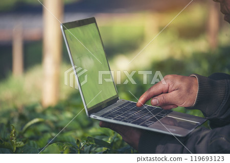 Smart farmer using laptop in eco green farm sustainable quality control. Close up Hand typing laptop computer quality control plant tree. Farmer hands using technology in eco Farmland biotechnology 119693123