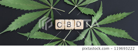 Letters CBD and fresh cannabis leaves on black background 119693222