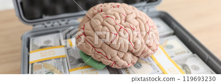 Human brain model on cash money pile in case on floor Human brain model on cash money pile in case on floor 119693230