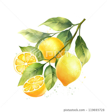 Lemons with leaves, isolated on white background. Hand drawn illustration in watercolor style. 119693728