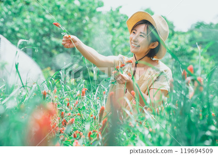 Strawberry candle flower picking Strawberry candle flower picking 119694509