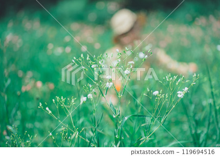 一位婦女在花園採摘皂草 119694516