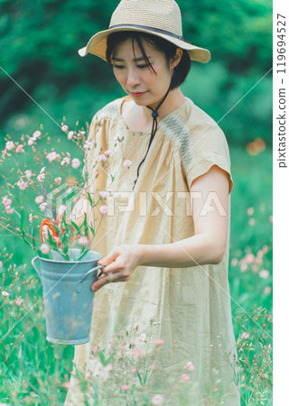 A woman picking saponaria in a flower field 119694527