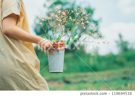 A woman picking saponaria in a flower field 119694538