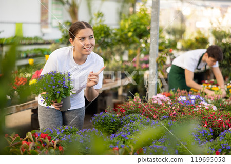 Focused young female consumer in casual wear choosing Lobelia Erinus flower in pot while buying plants in garden market Focused young female consumer in casual wear choosing Lobelia Erinus flower in pot while buying plants in garden market 119695058