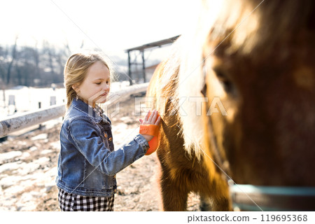 Young girl spending cold winter weekend on family farm, taking care of her pony, brushing his fur with Young girl spending cold winter weekend on family farm, taking care of her pony, brushing his fur with 119695368
