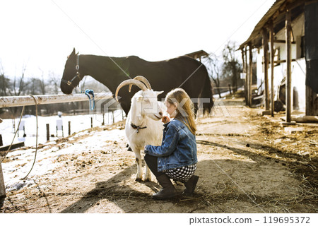 Young girl spending cold winter weekend on a farm, taking care of animals and petting white goat. 119695372