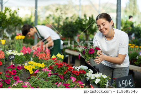 Young girl choosing blooming potted petunias in garden store 119695546