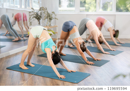 Young woman doing downward facing dog pose in yoga studio Young woman doing downward facing dog pose in yoga studio 119695594