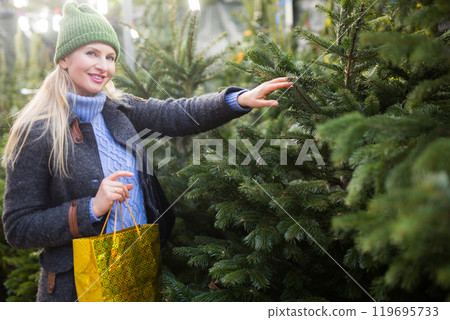 Interested woman choosing fir tree for New Year celebration at street fair 119695733