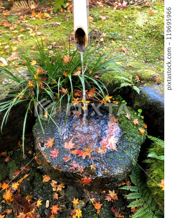 Ohara, Kyoto: Autumn leaves at Sanzenin Temple Ohara, Kyoto: Autumn leaves at Sanzenin Temple 119695966