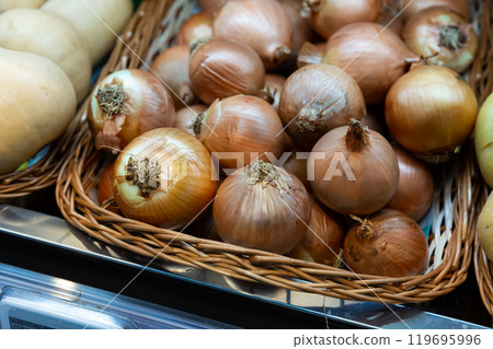 Bulb onion on counter in grocery store, nobody 119695996