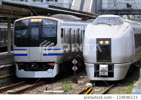 Yokosuka Line and special train encountered at Zushi Station Yokosuka Line and special train encountered at Zushi Station 119696123