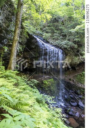 鮮綠的岩井瀑布 119696275