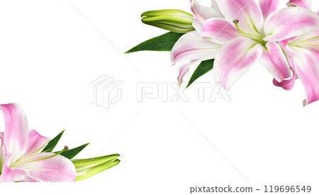 Pink lily flowers in a floral corner arrangements isolated on white Pink lily flowers in a floral corner arrangements isolated on white 119696549