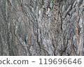 Mizunara wood grain 119696646