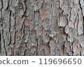 Korean pine grain 119696650