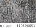 Larch wood grain 119696651