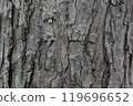 Halibut grain 119696652