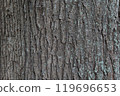Nonile wood grain 119696653