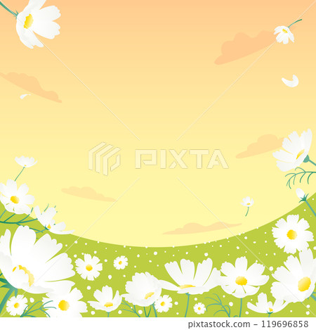 Illustration with cosmos and sunset sky scenery in the autumn field. 119696858