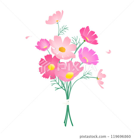 Illustration with a blooming Cosmos bouquet. 119696860