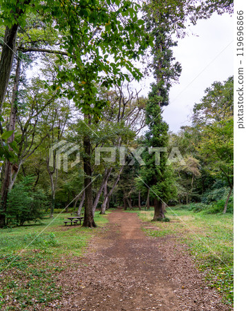 Lush park path Lush park path 119696866