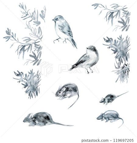 Set of bird, mouse, fish, olive tree branches in blue, black, grey colors. Floating fish, singing birds, hiding mice in handdrawn watercolor. It will be use as isolate elements, border of water stains 119697205