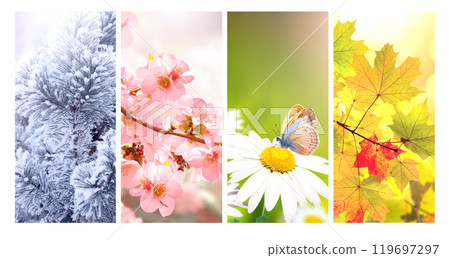 Four seasons of year. Set of vertical nature banners with winter, spring, summer and autumn scenes. Nature collage with seasonal scenics. Copy space for text Four seasons of year. Set of vertical nature banners with winter, spring, summer and autumn scenes. Nature collage with seasonal scenics. Copy space for text 119697297