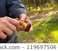 A woman's hand holds a knife and cleans boletus while picking mushrooms in the forest 119697506