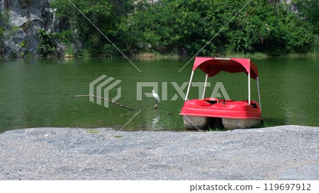 Photo of Egretta Garzetta and Paddle boat, a bird that lives on man-made objects. 119697912