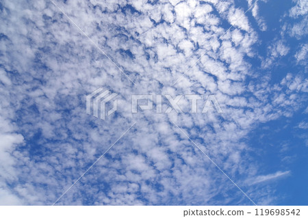 Cirrocumulus clouds in the autumn sky Cirrocumulus clouds in the autumn sky 119698542
