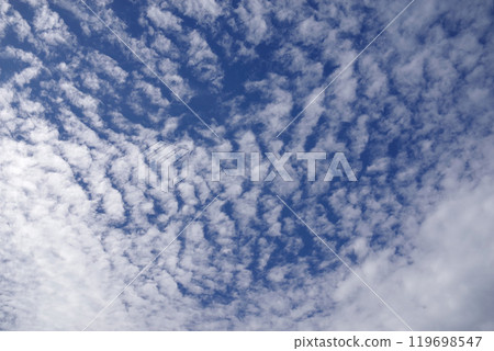 Cirrocumulus clouds in the autumn sky Cirrocumulus clouds in the autumn sky 119698547