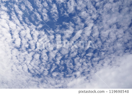 Cirrocumulus clouds in the autumn sky Cirrocumulus clouds in the autumn sky 119698548
