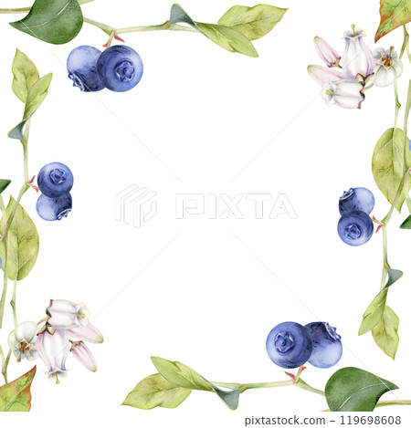Blueberry blackberry with white pink bell flowers, hand drawn in watercolor, ripe forest berry bunch on branches. Isolated botanical frame illustration. Restaurant, dessert cafe menu, farmers market Blueberry blackberry with white pink bell flowers, hand drawn in watercolor, ripe forest berry bunch on branches. Isolated botanical frame illustration. Restaurant, dessert cafe menu, farmers market 119698608