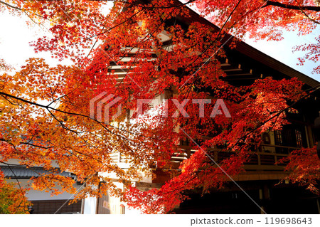 Ohara, Kyoto: Autumn leaves at Sanzenin Temple 119698643