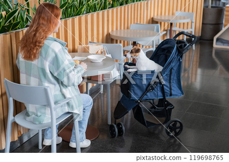 Caucasian woman having lunch in a cafe with her Jack Russell terrier dog in a stroller.  119698765