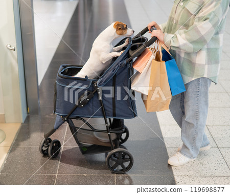 A Caucasian woman is shopping with her Jack Russell Terrier dog in a stroller in a shopping mall. A Caucasian woman is shopping with her Jack Russell Terrier dog in a stroller in a shopping mall. 119698877