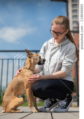 Young Caucasian woman walking with her Russian Toy Terrier dog. Vertical photo.  119698985