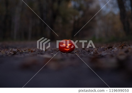 Jack o'Latern Halloween in the Woods. Halloween Decoration. Jack o'Latern Halloween in the Woods. Halloween Decoration. 119699050